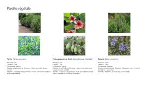 PROJET_CHARBONNIER_V2_page-0011